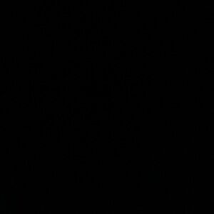 Meet your Posher, Lexx